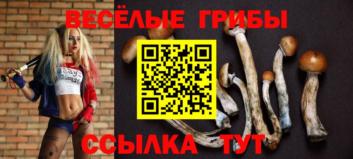 купить наркотики сайты  Псилоцибиновые грибы Magic Shrooms  Вход с VPN  Когалым  Псилоцибиновые грибы ЛСД 